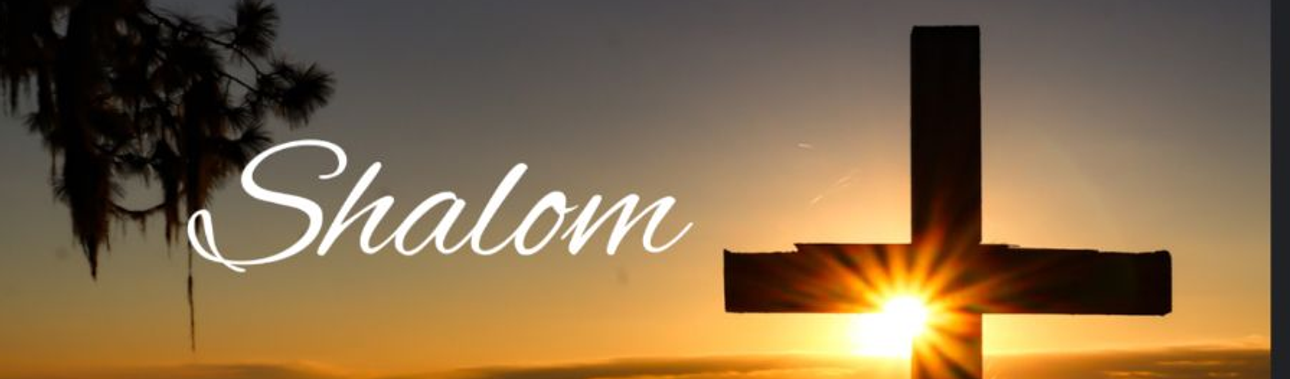 AmbulanterPflegedienstdienst Shalom